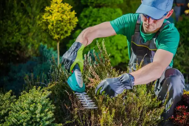 landscaping services Holgate